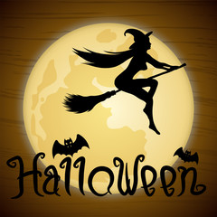 Young sexy witch flying on a broomstick in Halloween night. Halloween background with full moon and bats. Vector illustration