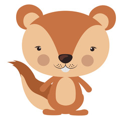 Poster - Cute squirrel, illustration, vector on white background.