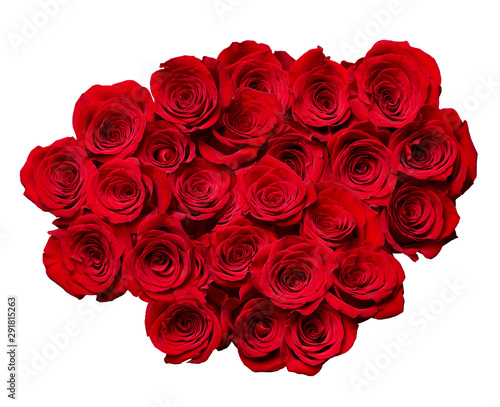 flower rose petal blossom red nature beautiful background