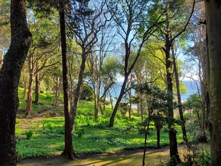 Isidora Cousiño Park, Lota, Bio Bio Region, Chile