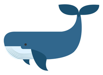 Poster - Blue whale, illustration, vector on white background.