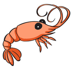 Poster - Shrimp, illustration, vector on white background.