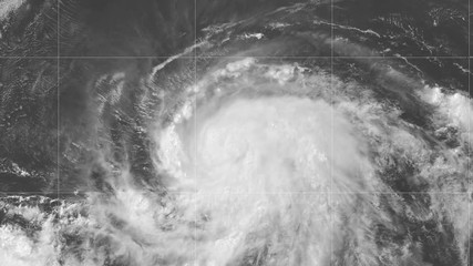 Wall Mural - 2019 hurricane barbara time lapse satellite imagery. floater band 01 this work was created using dat