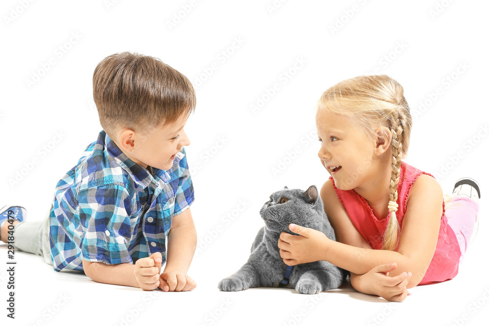 Little children with cute cat on white background