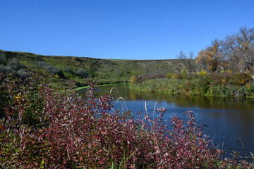 Poster - autumn landscape with bend in river