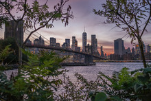 A View Of New York City Through The Trees In Brooklyn