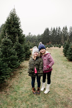 Portrait Of Little Girls/sisters In Big Woolly Hats In Christmas Tree Farm