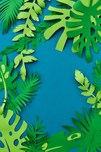 Exotic Tropical Evergreen Leaf Paper Frame, Creative Pttern Appl