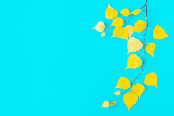 Poster - autumn yellow leaves on blue background