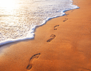 Wall Mural - beach, wave and footprints at sunset time