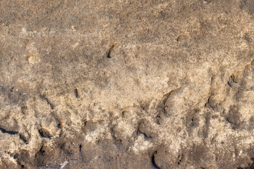 Wall Mural - texture of sand