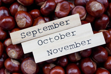 Decorative Autumn Calendar On The Chestnut Seeds Background