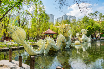 China Urumqi Shuimogou Park 08