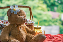 Teddy Bear Sitting In Picnic Basket