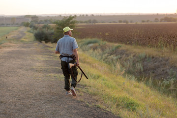 Wall Mural - Hunting period, autumn season open. A hunter with a gun in his hands in hunting clothes in the autumn forest in search of a trophy. A man stands with weapons and hunting dogs tracking down the game.	