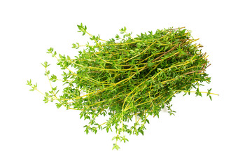 Sticker - thyme isolated on white background