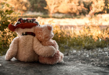 Two Teddy Bears Are Sitting On A Stump Hugging Against The Backdrop Of An Autumn Forest