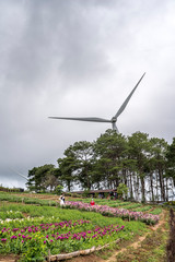 Windmill field technology concept, khao kho mountain in Thailand, New alternative in novation for renewable power of electric energy in beautiful view