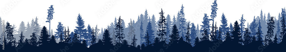 dark blue fir forest stripe isolated on white - obrazy, fototapety, plakaty 