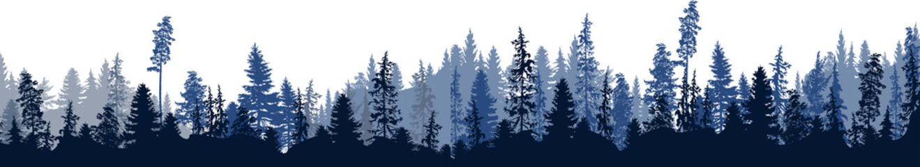 Wall Mural - dark blue fir forest stripe isolated on white