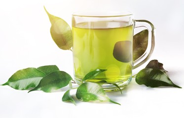 Wall Mural - Green Tea Leaves and Green Tea in Cup