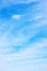 Wall Mural - Blue sky with light clouds - vertical background