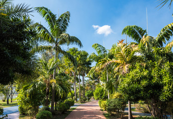 Canvas Print - Footpath in Public Park