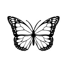 Black And White Butterfly Silhouette