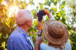 © maryviolet - Grapes picking. Couple of farmers gather crop of grapes on ecological farm. Happy senior man and woman checking grapes