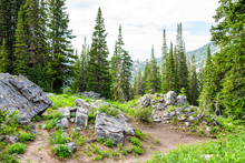 Albion Basin, Utah Summer With Landscape View Of Rocks And Tall Pine Trees In Wasatch Mountains To Cecret Lake