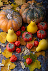  Fall background with pumpkins and persimmons and leaf.