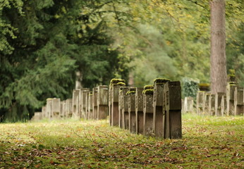 Wall Mural - Soldatenfriedhof Soldatengrab