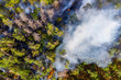 © Anton Petrus - Aerial view of wildfire in forest. Burning forest and huge clouds of smoke.