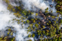 Aerial View Of Wildfire In Forest. Burning Forest And Huge Clouds Of Smoke.