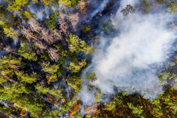 Aerial view of wildfire in forest. Burning forest and huge clouds of smoke.