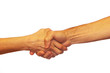 © tolberto - Business partners have a successful agreement