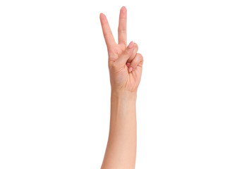 Wall Mural - Female hand showing 2 fingers or Victory gesture, isolated on white background. Beautiful hand of woman with copy space. Hand doing gesture of number Two. Series of photos count from 1 to 5.