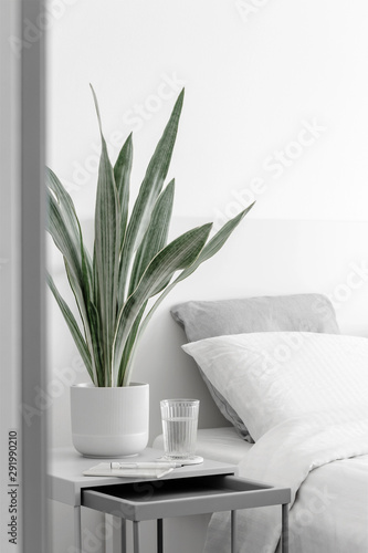 Modern Houseplants In The White Bedroom Minimal Creative Home