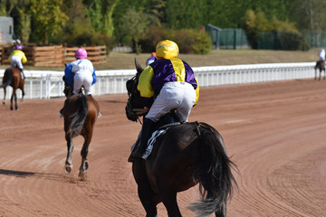 course de chevaux en trot monté