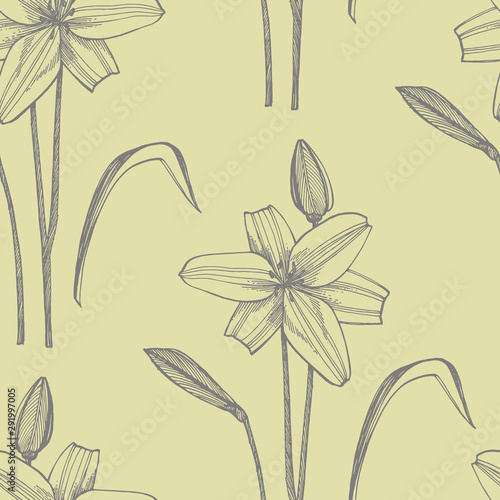 Lily flowers. Botanical illustration. Good for cosmetics, medicine, treating,...