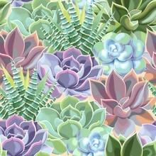 Vector Seamless Pattern With High Detail Succulent