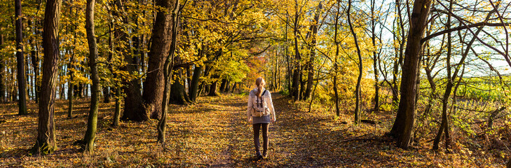 Wall Mural - woman hiking in autumn forest. panoramic view of traveler in nature