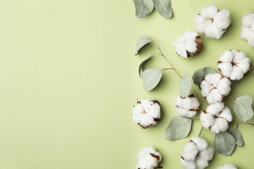 Sticker - Flat lay composition with cotton flowers on green background. Space for text