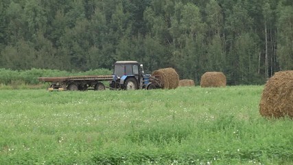 Wall Mural - Tractor collecting straw bales during harvesting in the field at nice blue sunny day. Straw collection after wheat harvests. Loading bales of straw on trailer. Tractor driven straw bales on the field