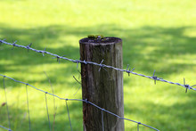 Fence Post With Barbed Wire Fencing On A Green Background