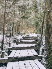 Canvas Print - Road made out of wooden planks covered in snow, going through a snowy forest