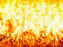 Fire Background. Firewood Covered With Bright Tongues Of Flame.