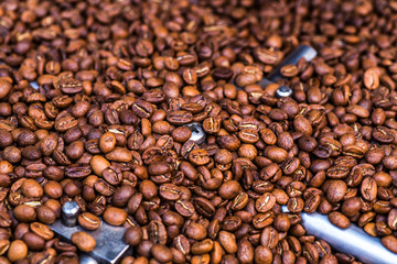 Wall Mural - coffee beans in roast machine, arabica roasted coffee ,color vintage style.