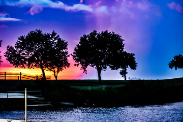 Poster - sunset behind silhouette of trees