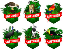Set Of Vector Jungle Rainforest Emblems With Red Scarlet Macaw Ara Parrot, Harpy Eagle, Boa, Rainbow-billed Toucan,  Cassowary, Philippine Eagle, Monkey,  Jaguar, Anaconda And Blue Morpho Butterfly